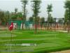 PGM Indoor Golf Putter Trainer with Artificial Green