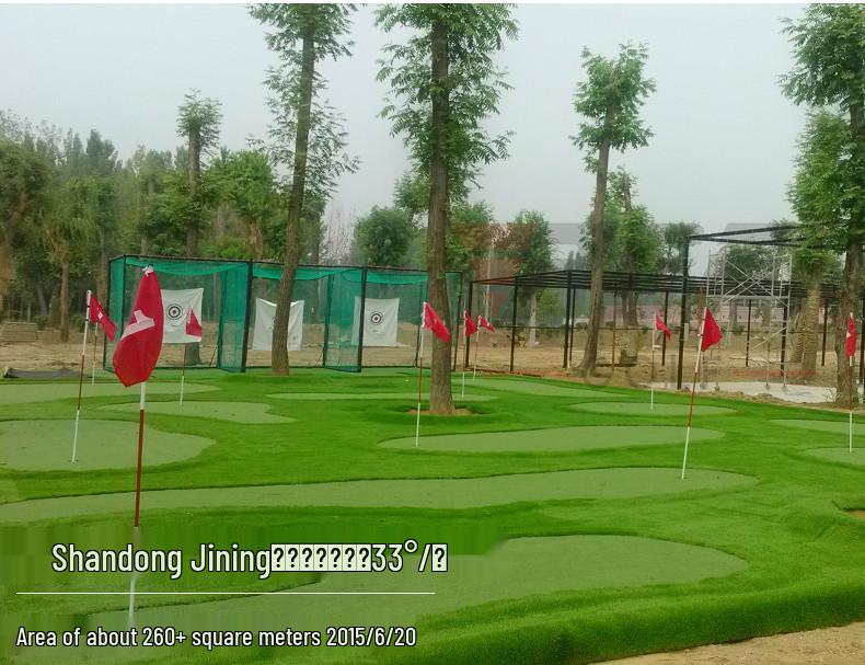 PGM Indoor Golf Putter Trainer with Artificial Green