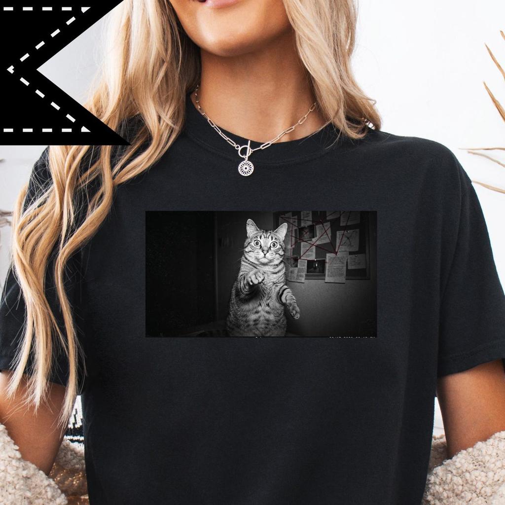 Silly Guilty Cat Meme Shirt, Funny Kitty Graphic Tee, Comfort Colors® Unisex Cat Lover Gift