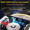 Songchuan International SP101 Home KTV Professional Audio System CN plug (adapter included)