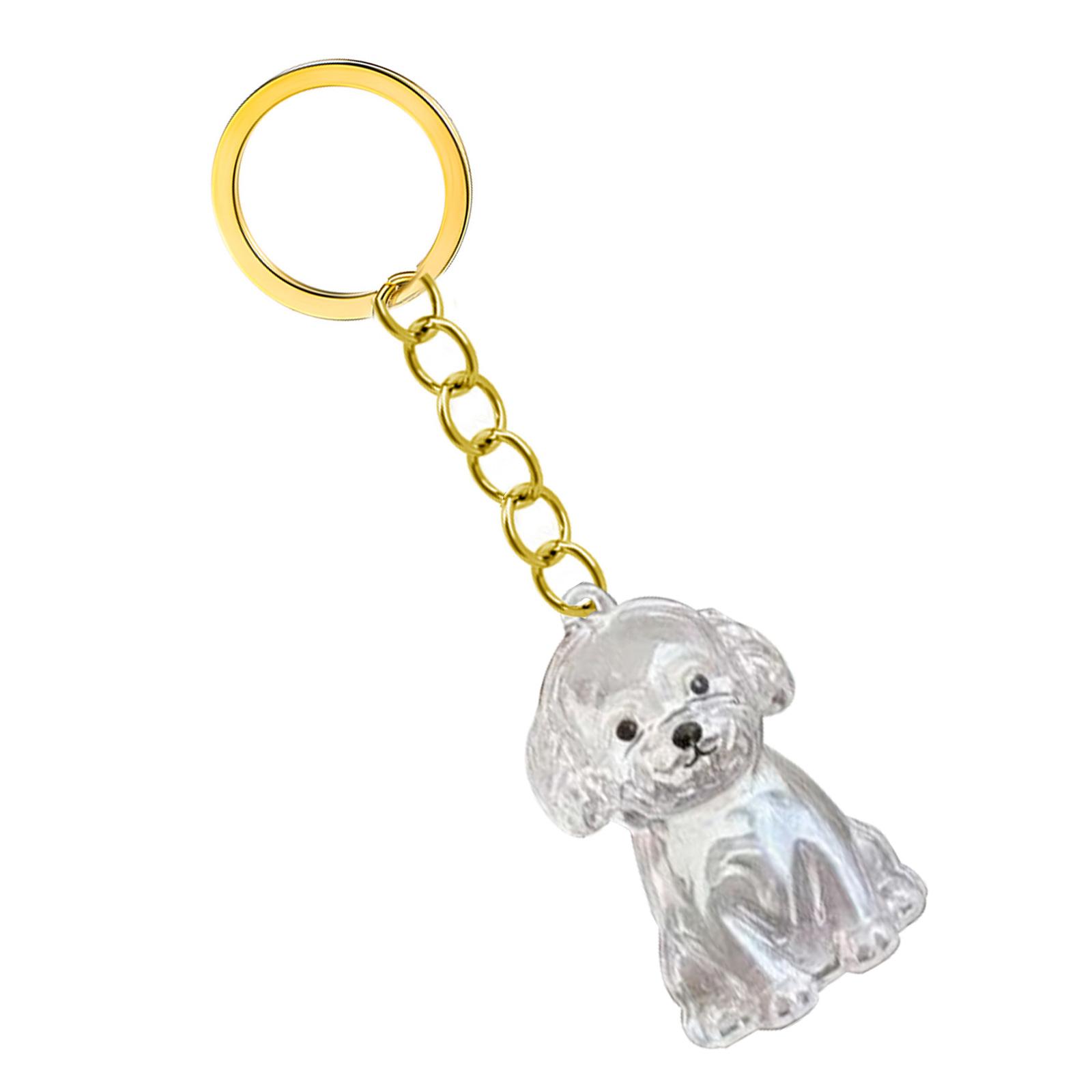 

Transparent Pet Memorial Keychain Pet Hair Bottle For Preserving Dog Hair And Ashes In A Leakproof Keepsake Capsule 1
