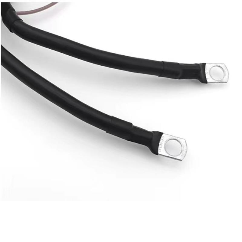 12V Wireless Remote Control Car Battery Disconnect Switch With Automatic Low Voltage Cut-Off