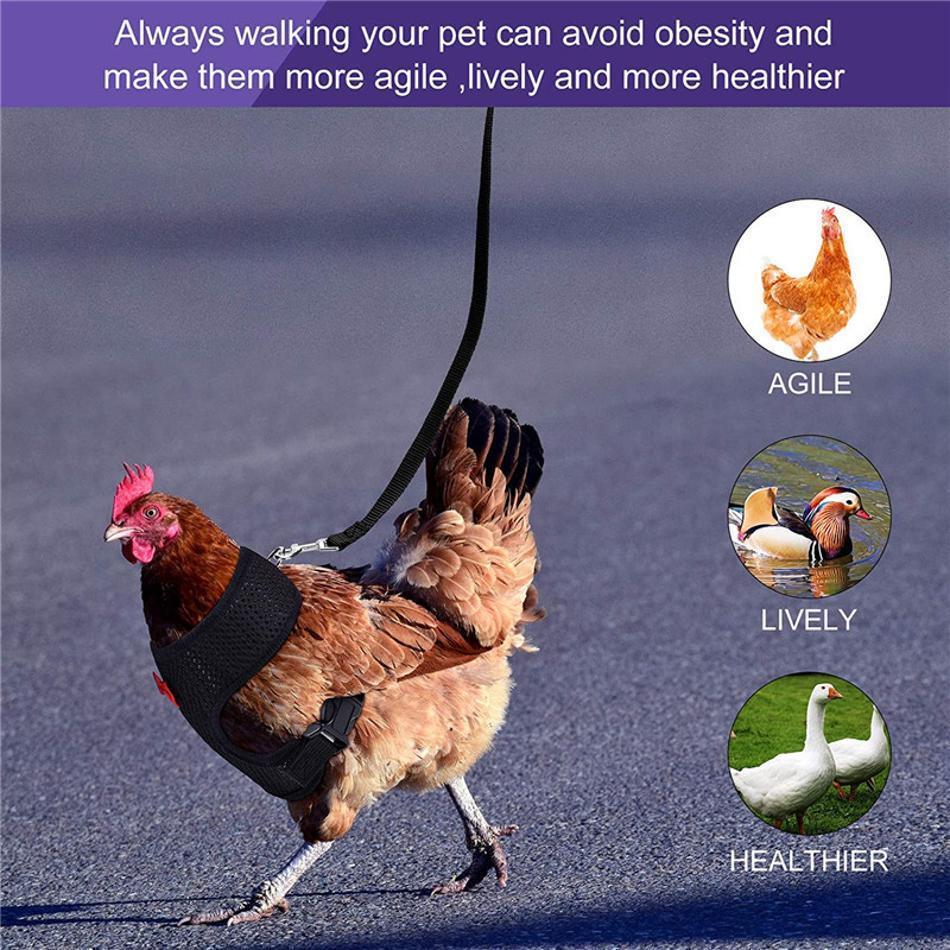 1 Pcs Fashion Chicken Duck Vest Hen Belt Pet Harness Matching Collars Bow Comfortable Leads Breathable Poultry Supplies
