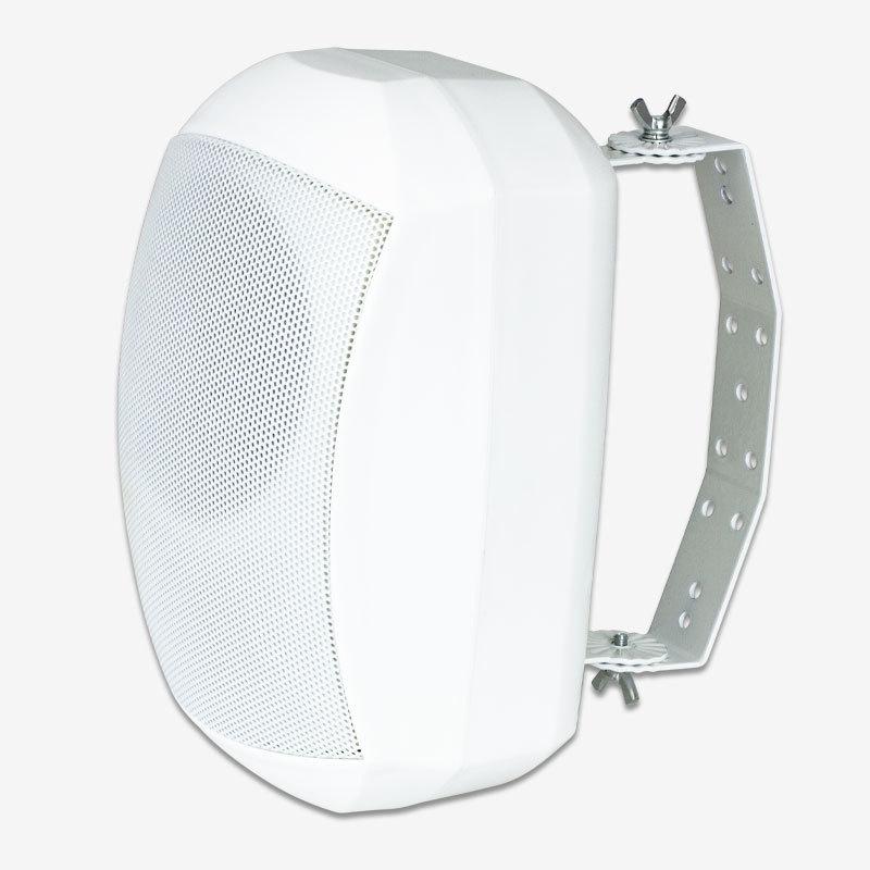 Tianlai 6.5" Wall-Mounted Indoor/Outdoor Waterproof Speaker for Campus, Residential, and Supermarket Use