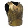 Medieval Armor Jacket EAGLE BREASTPLATE King Steel Suit Christmas Costume