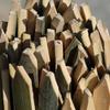 Bamboo Pointed Stakes for Surveying, Garden Layout, & Protective Fencing