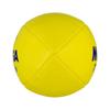 Mikasa Smile Tag Rugby Size 4 School Certified by the Japan School Physical Education Research Sponge Recommended internal pressure Yellow Ball,