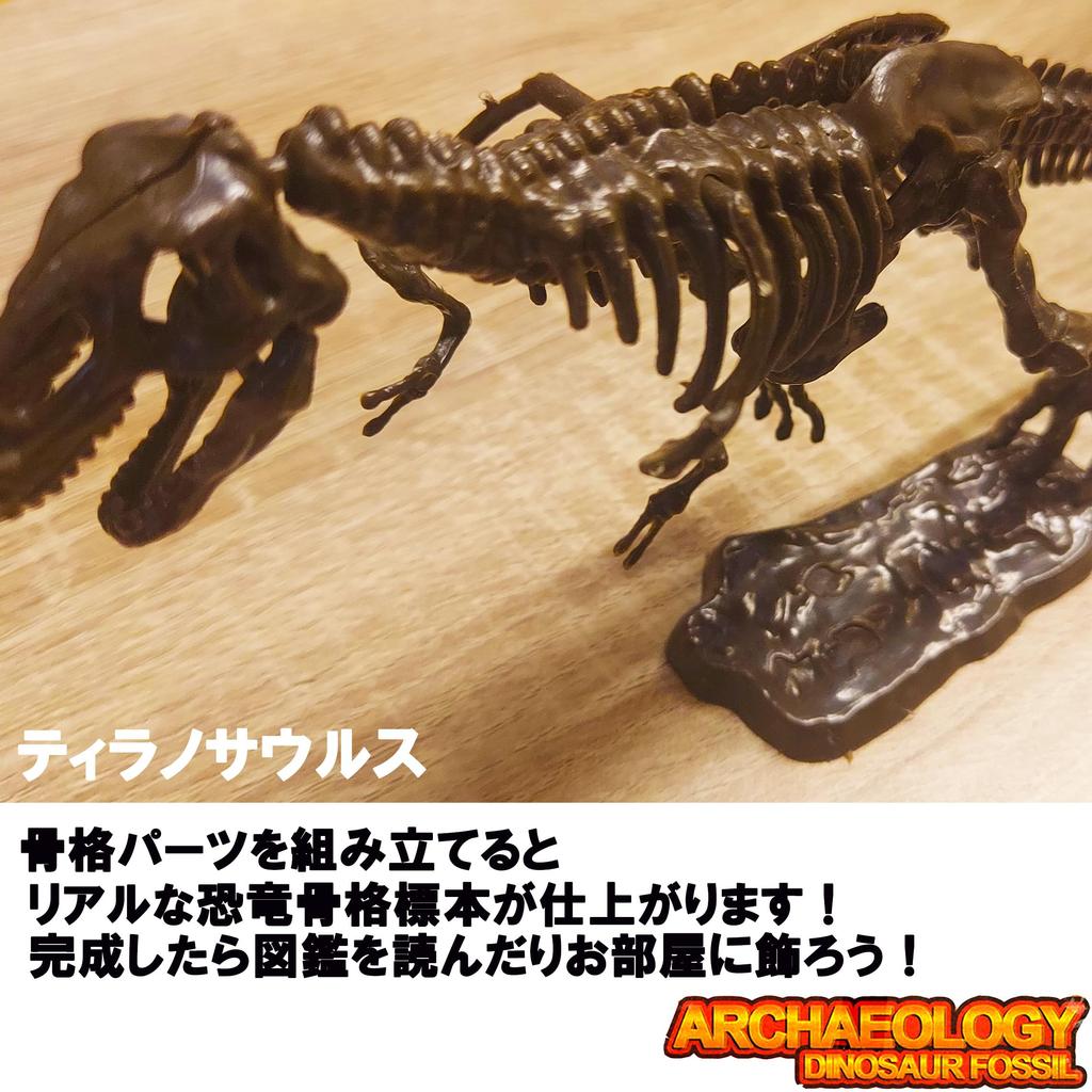 Excavation Kit for Pteranodon Ages Includes Dinosaur Figure and and Magnifying Plaster Fossil Plastic Independent Science Educational Toy Dinosaurs,