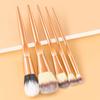 Stroke of Beauty - Set of 5: Face Complexion Brush