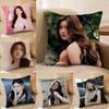 R-Rosy Zhao Pillow Case Anti-dustmite Pillowcase Invisible zipper silky Sofa cushion cover