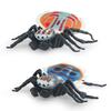 Stunningly Detailed Plastic Insect Models Including Vibrant Peacock Spiders And Striped Fly Spiders Perfect For Learning And Displaying