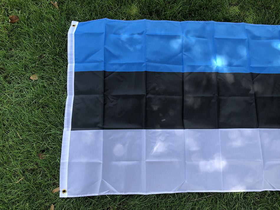 SKY FLAG Bandiera dell'Estonia Stendardo 90*150cm Poliestere di Alta Qualità Bandiera Nazionale dell'Estonia da Appendere Per Decorazione Domestica e Attività
