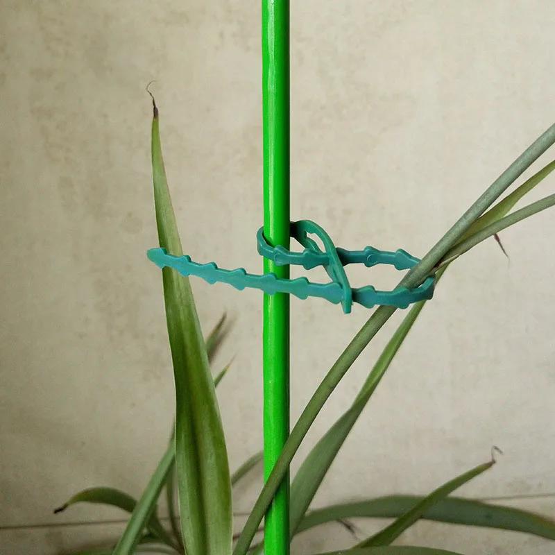 50/100Pcs Reusable Garden Cable Ties Plant Support Shrubs Fastener Tree Locking Nylon Adjustable Plastic Cable Ties Tools