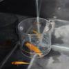 1Pcs Acrylic Fish Tank Fixed Food Dispenser Wide Feeding Area Dispensing Tool Aquarium Fish Food Feeder With Suction Cup