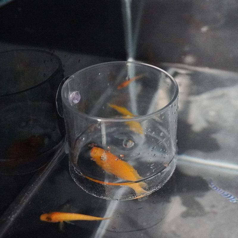 1Pcs Acrylic Fish Tank Fixed Food Dispenser Wide Feeding Area Dispensing Tool Aquarium Fish Food Feeder With Suction Cup