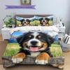 Cartoon Pattern Bedding Quilt Set Quilt Cover Pillowcase Home Decoration Birthday Gift (1 * Duvet Cover + 2 * Pillowcase, Without Core)