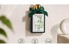 Long-Lasting Gardenia Bathroom Air Freshener & Deodorizer for Elevators and Hotels