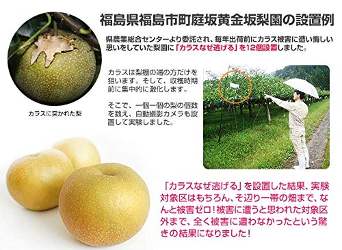 Why Do Crows Run Away? Standard Type, Value Pack of 3 KS-201 Crow Repellent, Crow Repellent, Crow Countermeasures, Garbage Repellent, Crow Repellent,