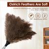 Extendable Ostrich Feather Duster With Stainless Steel Long Handle Brush Practical Household Furniturer Feather Dusting Tool