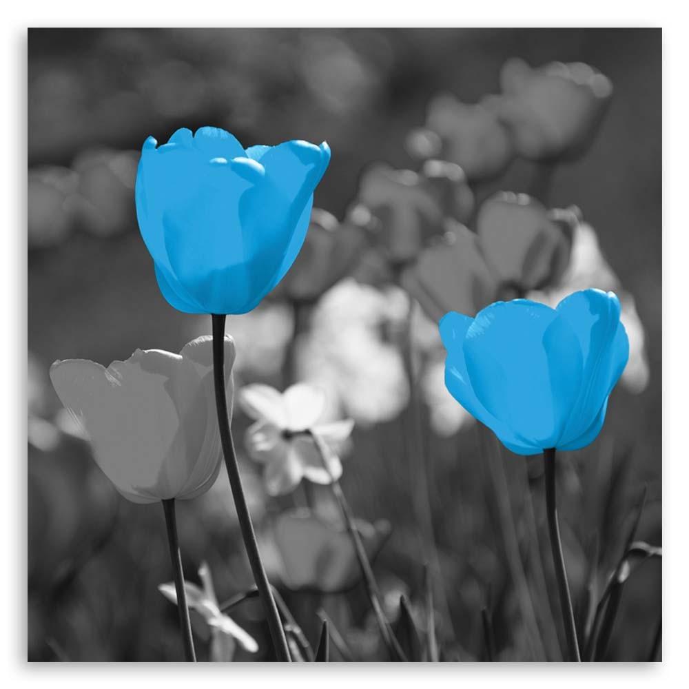 Canvas Print, Blue Tulips In a Meadow