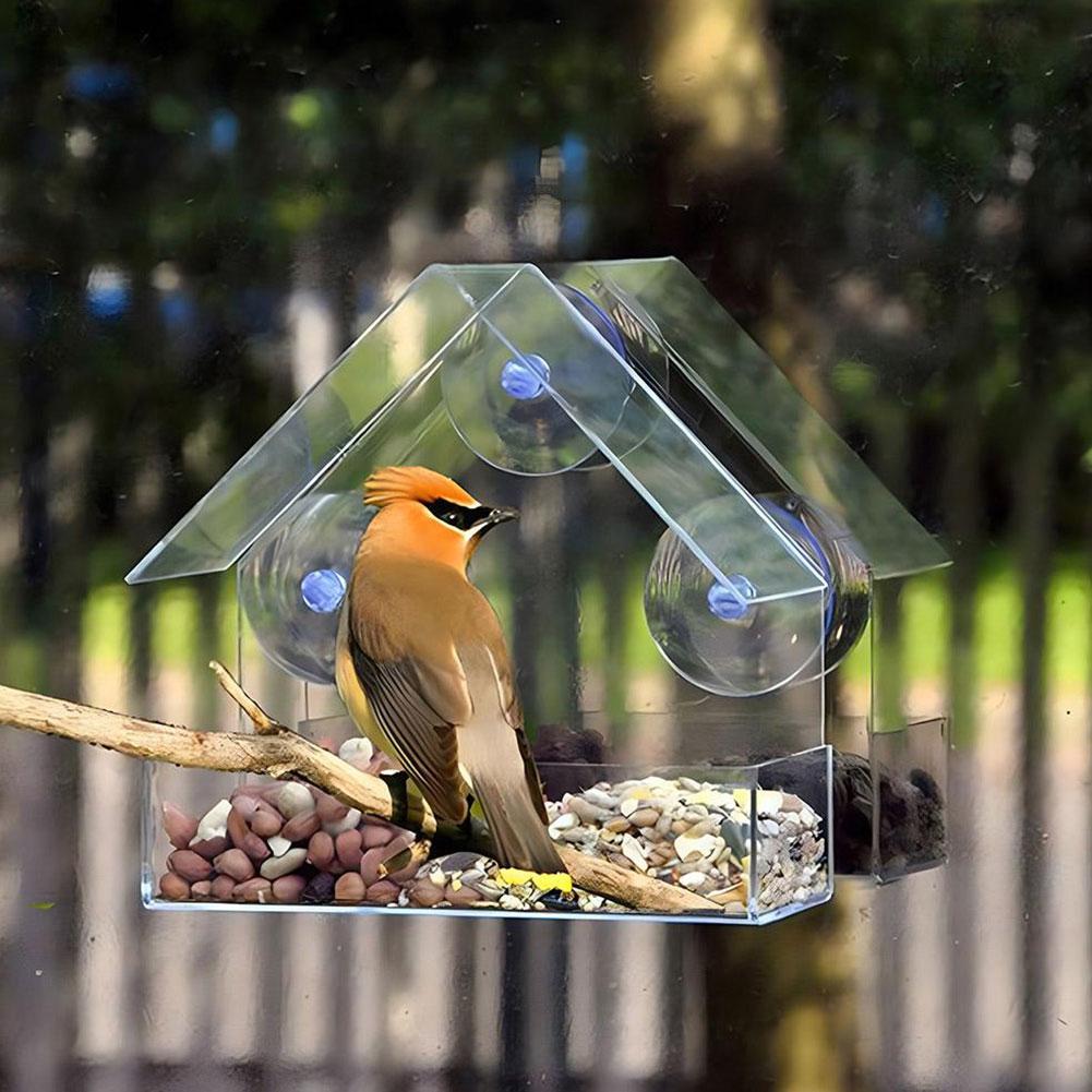 Bird Feeder Birds House for Outdoor, Window Bird Feeder with Strong Suction Cups for Wild Birds, Cardinal, Bluebird