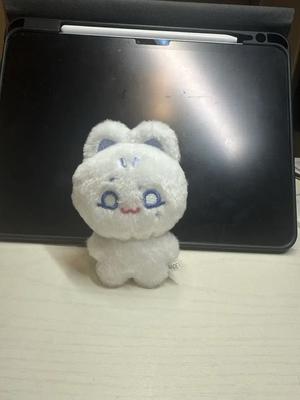 ATEEZ Saiyama Doll Is So Fluffy Used