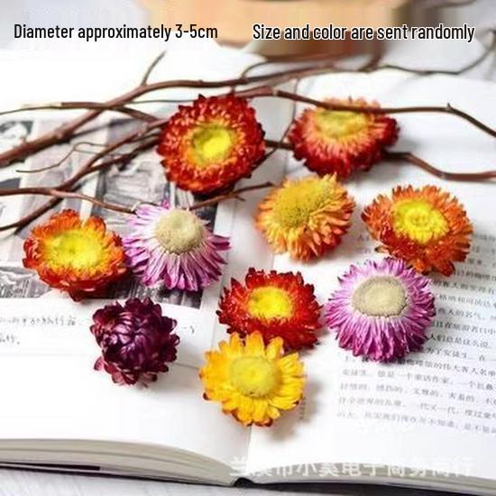 Handmade Wild Pine Cone Christmas Tree Decorative Branches with Dried Flowers