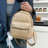 Wind Backpack Women's New Few Double-layer Zipper Casual Personalized Backpack Straw Backpack