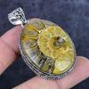 Natural Ammonite Fossil Gemstone 925 Sterling Silver Jewelry Pendant 2.29" ETC-14204