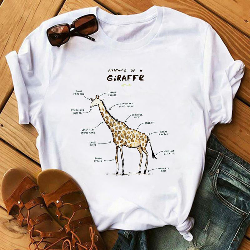 Harajuku Kawaii Tshirt Anatomia Da Raposa Gato Grfico Tees Das Mulheres Tops Esttica T Shirt Tripulao Pescoo Roupas De Vero Para As Mulheres