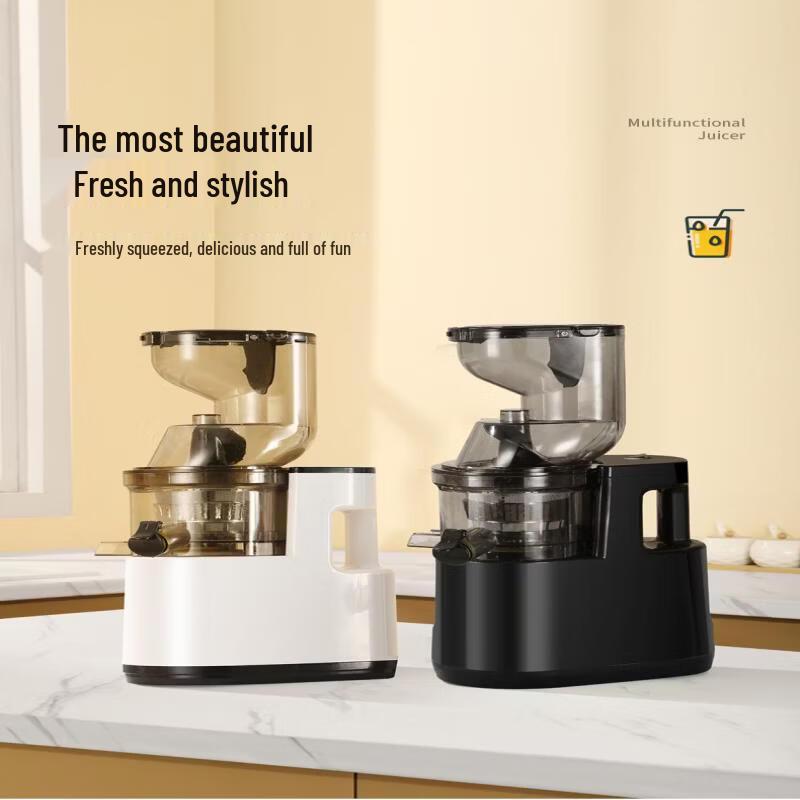 OLOEY Multi-Function Home Juicer