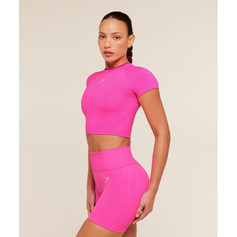 Gymshark Interval Seamless Short Sleeve Crop Top Electric Pink Super Set Pink B6
