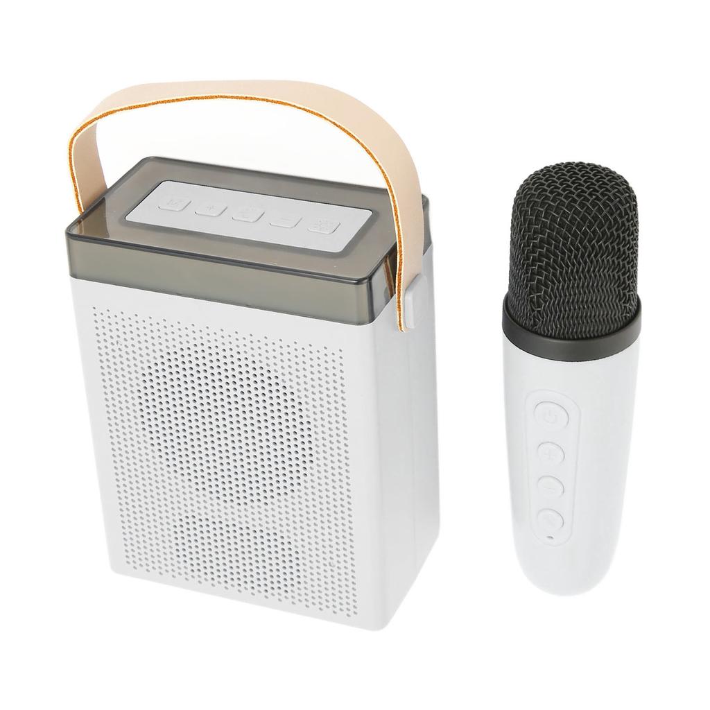 Karaoke Machine Set with RGB Light Rechargeable Bluetooth Speaker with 1 Wireless Microphone for Home Party KTV White
