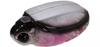 Bassday Beetle Bun 30F Floating Lure 4.5 Grams 344 (3402)