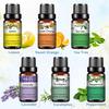 PHATOIL 10 ml ätherisches Lavendel-Eukalyptus-Öl, gesund, beruhigend, Luftreiniger, natürliche Pflanzentherapie, Aromatherapie, Diffusor, Luftbefeuchter, Massage