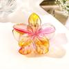  Flower Hair Claws Transparent Hairpin Sweet Ponytail Hair Accessories