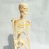 W89C Mini Human Skeleton Model for W/ Stand Movable Arms Legs Scientific for Basic St