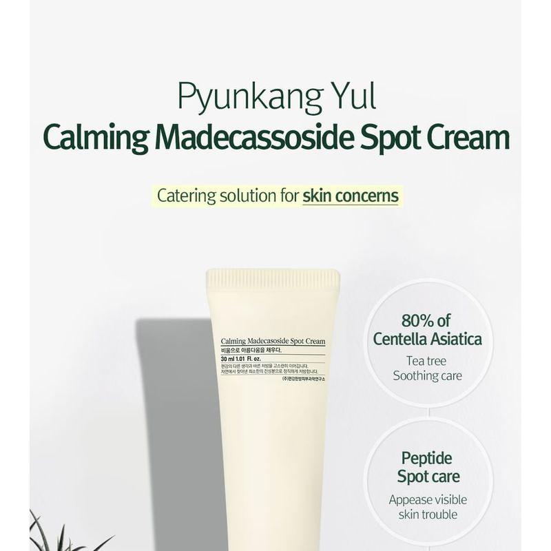 Pyunkang Yul Calming Madecasoside Spot Cream