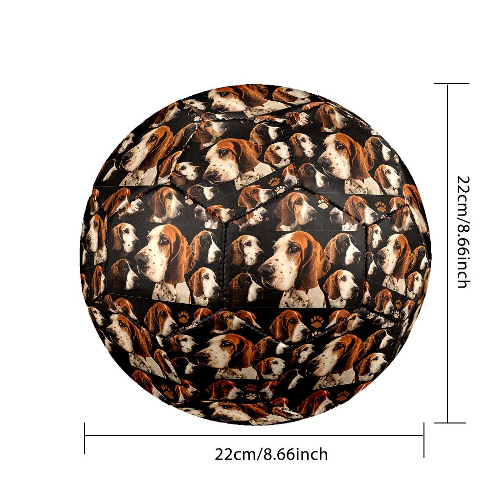 Afghan Hound Indoor Soccer Ball Size 5 Colorful All Ages Machine Stitched PVC Competition Ready Durable High-Bounce