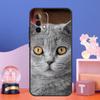 Custodia per Gatto British Shorthair per Samsung Galaxy A55 A16 A26 A36 A56 A54 A34 A14 A15 A35 A52 A12 A32 A13 A33 A53 A17