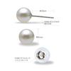Pt Akoya Pearl Pearl Earrings Genuine Pearl 6mm 6.0mm Earrings/Platinum (Pt900)