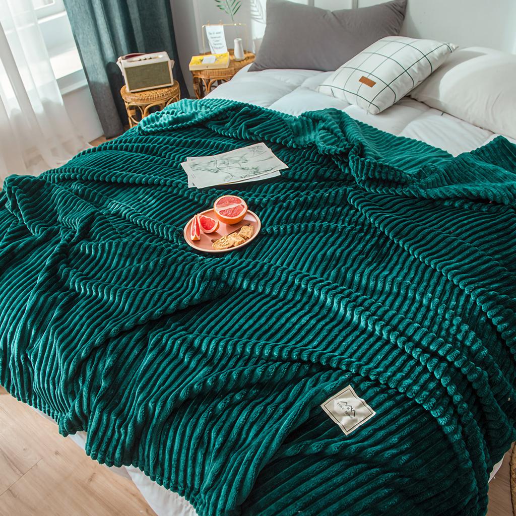 Winter Warm Milk Velvet Blanket Bed Sheet Blanket Single Dormitory Student Coral Velvet Air Conditioning Nap Sofa Cover Blanket