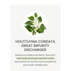 ONE THING - Houttuynia Cordata Extract Toner Jumbo
