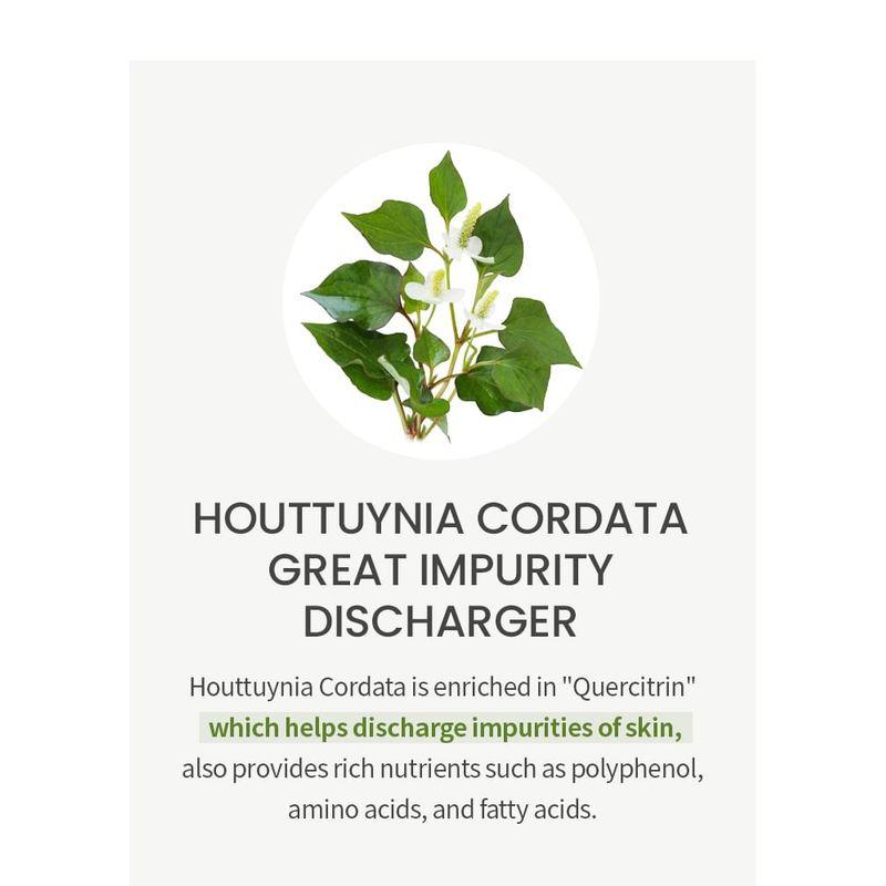 ONE THING - Houttuynia Cordata Extract Toner Jumbo