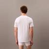 Calvin Klein SS25 T-Shirts Men's Crew Neck Moderate NM2748