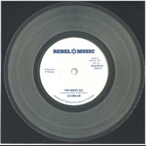 

7inch Record LIJ AMLAK - You Want All / You Want All Instrum RM7009 Rebel Music EU 2024 Europe Reggae, Ska & Dub