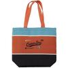 Captain Stag Ue 675 [Cooler Bag Tote Cooler Bag 6l Old Orange 76]