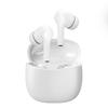BT19 Bluetooth TWS In-Ear Earbuds with Type-C, High-Quality Sound