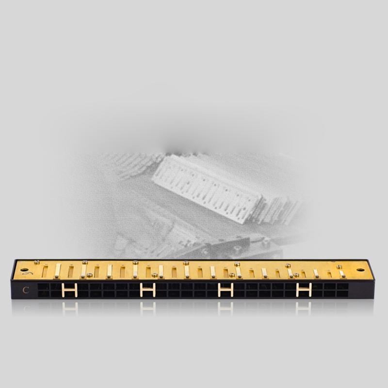 24-Hole Professional Harmonica for Beginners, Diatonic Double Tremolo Harmonica for Adults Music Student Teacher Gift