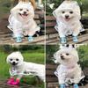 Waterproof Pet Rain Jacket Lightweight Pet Rain Poncho Transparent Dog Raincoat  Rainning Days